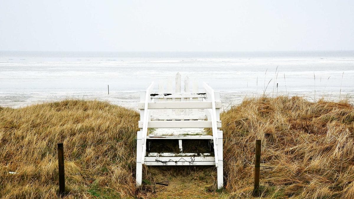 CFPB Signals Policy Shift as Apple Launches Credit Initiative, Bureaus Revise Medical Debt Rules