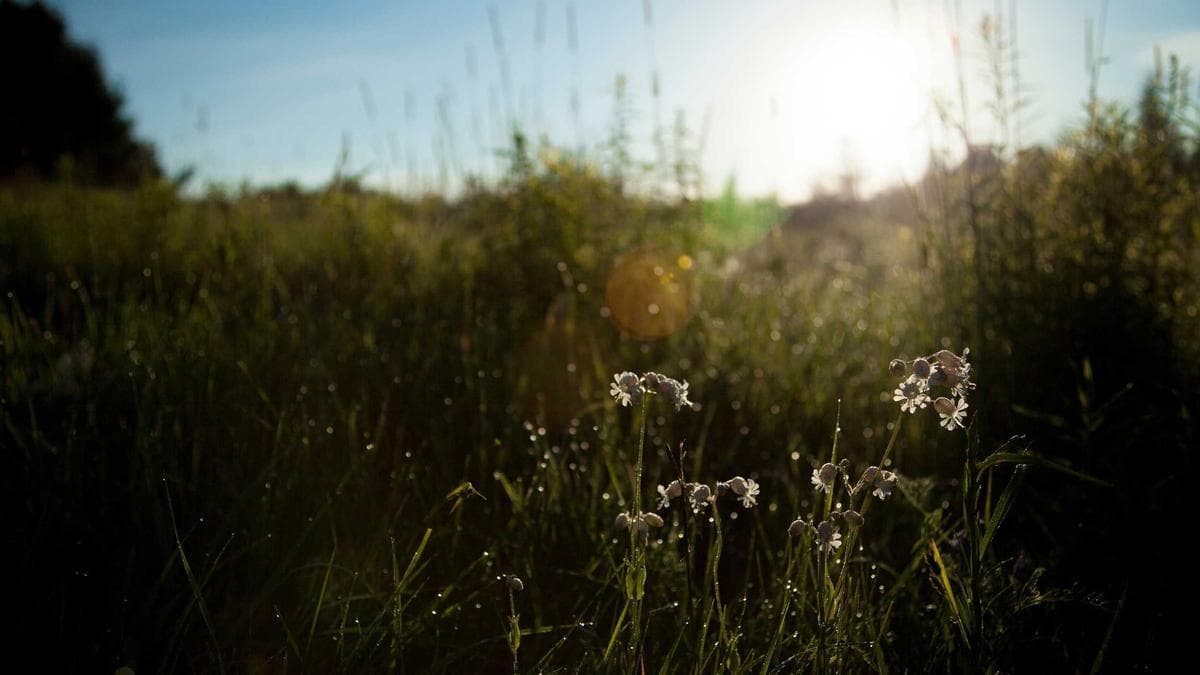New Bank Erebor Opens to Serve Crypto and Defense Sectors as UnCash Collapses