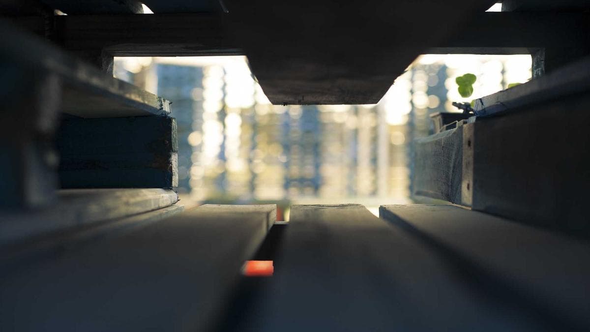 CFO Leadership Council Urges Finance Chiefs to Embrace Bold Decision-Making Amid Economic Uncertainty