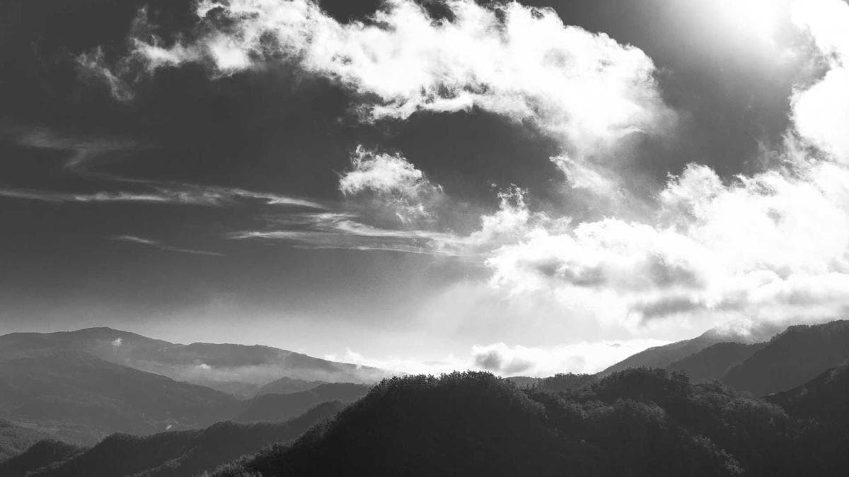 Finance Newsletter Writer Builds AI Story Scout, Exposing Wall Street’s Data Paradox