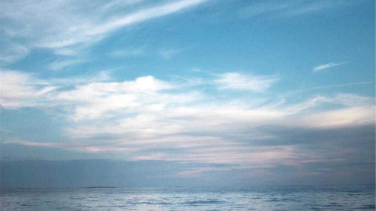 Succession Planning Emerges as Material Factor in M&A Valuations, Finance Chiefs Warned