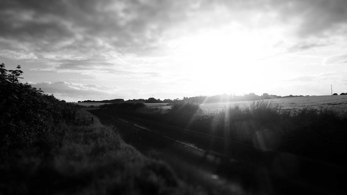 Fintech Funding Frenzy Hits Fashion and Niche Accounting as Sector Captures One-Fifth of Global VC Dollars