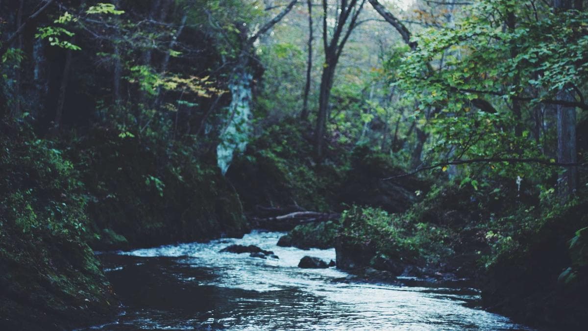 Finance Chiefs Brace for AI Accounting Chaos as 2026 Prediction Season Opens