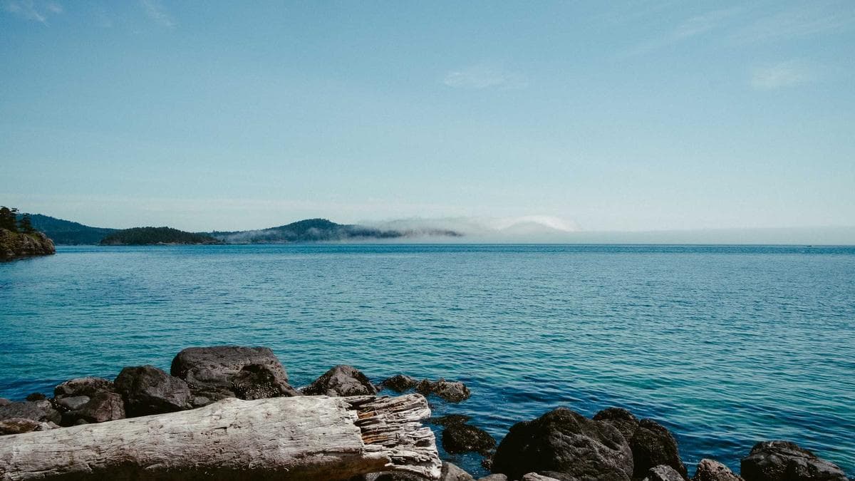 Oxford Professor Questions Private Equity Return Metrics as Asset Class Faces Scrutiny