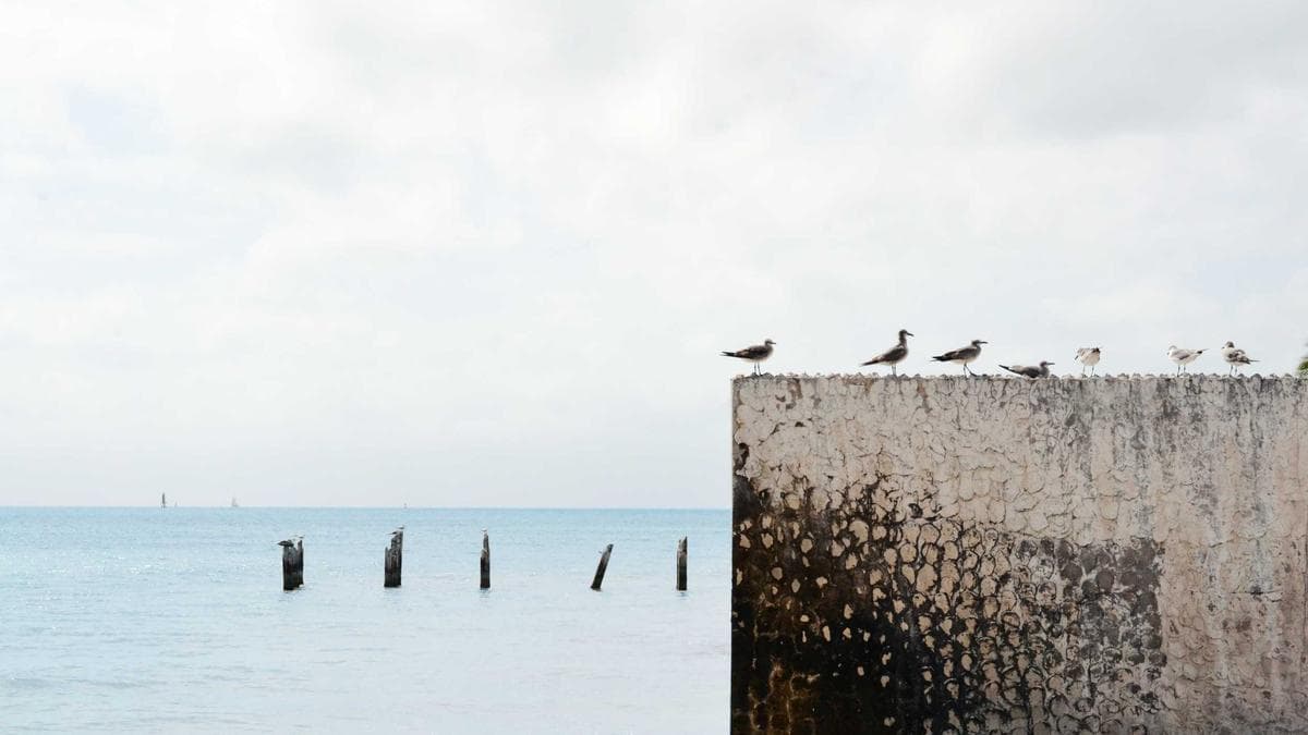 Figure Technology data breach hits nearly 1 million accounts