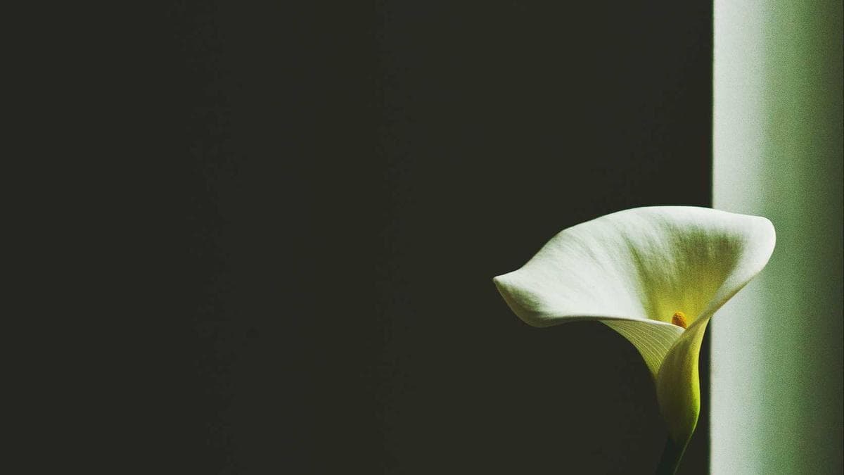 Finance Chiefs Brace for AI Compliance Costs as 2026 Prediction Roundup Shows Regulatory Pressure Mounting