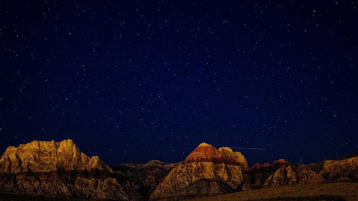 Nvidia Stands Alone as Tech Investors Sour on AI Infrastructure Binge