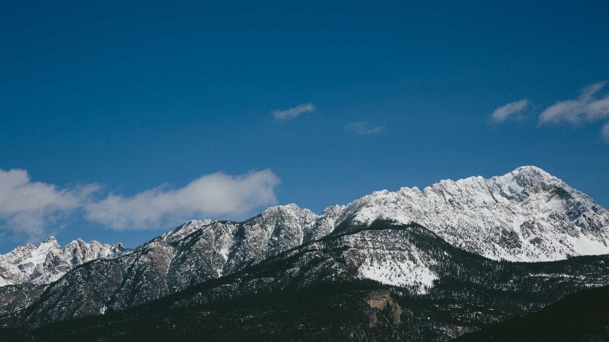 AI Code Scanner Rattles Cybersecurity Stocks as Anthropic Enters Corporate Security Market