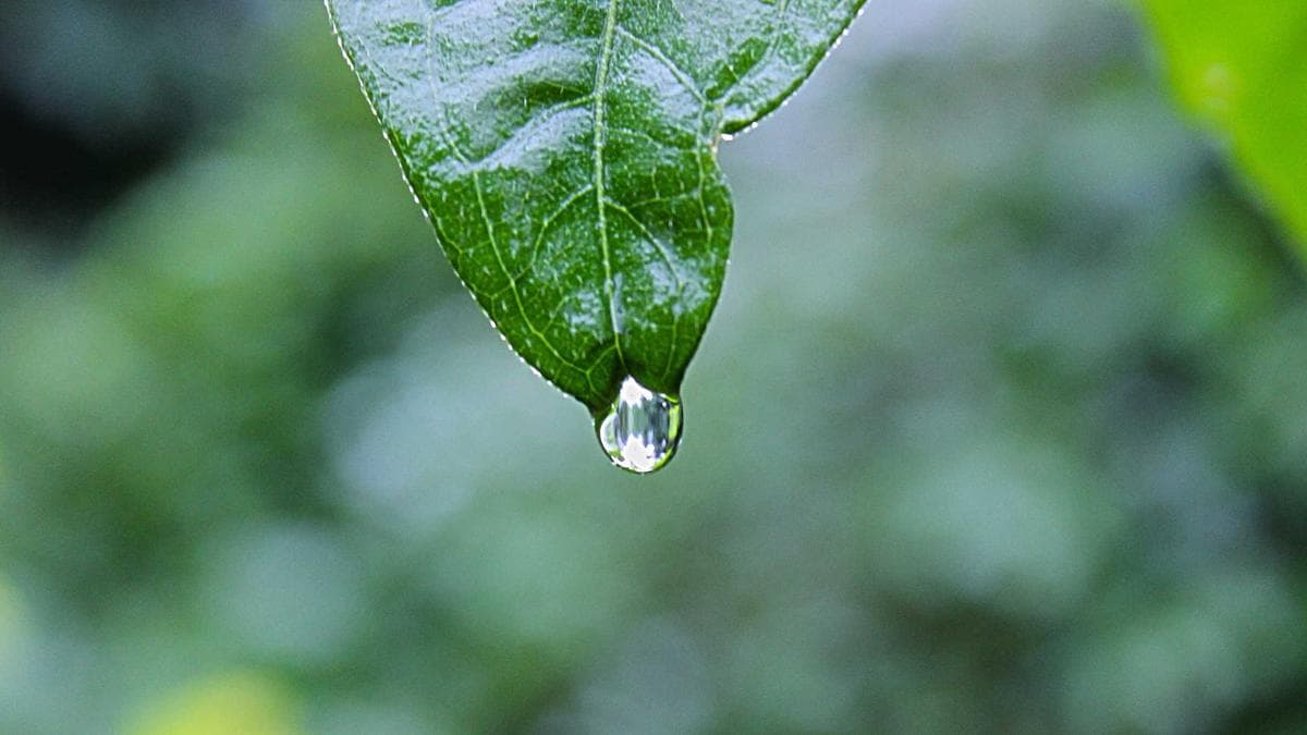 Space Startups Test VC Patience With Decade-Long R&D Cycles and €1bn Capital Burn