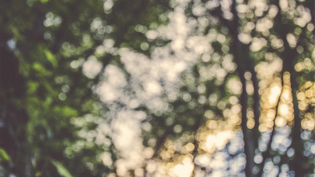 Meta’s Instagram Engagement Metrics Face Scrutiny as Litigation Threatens Revenue Model