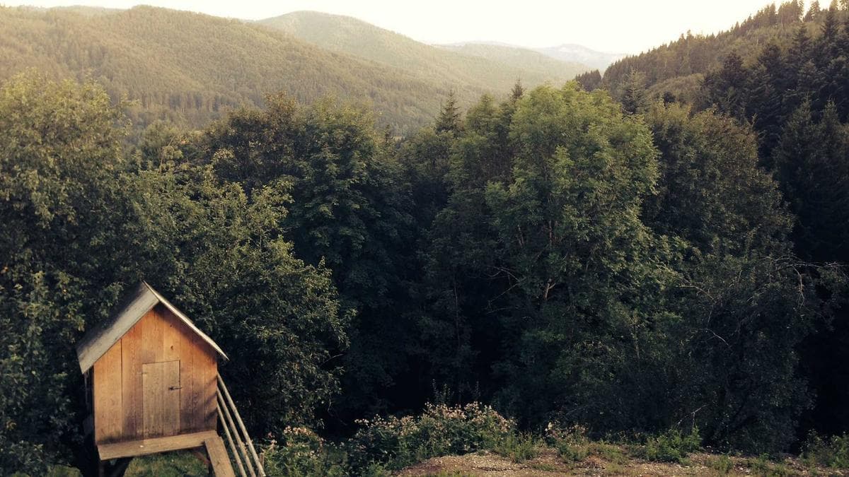 Finance Leaders Report AI Vendors Overpromise on Automation, Driving Hidden Implementation Costs