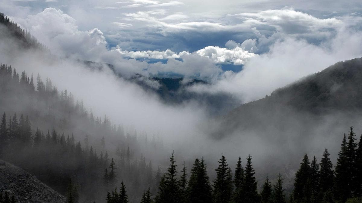 New Bank Charter Signals Shift in Crypto and Fintech Oversight Under Trump Administration