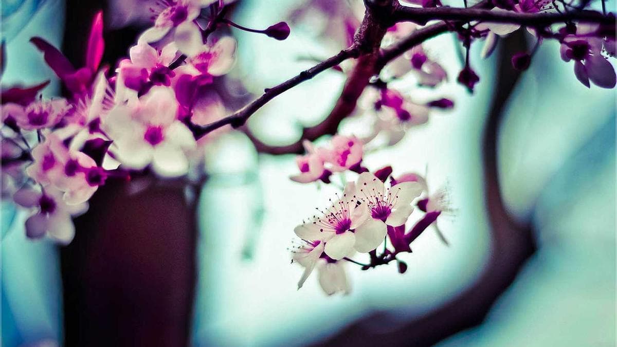 Wharton Research Uncovers ‘Correlation Neglect’ Bias Distorting Stock Valuations