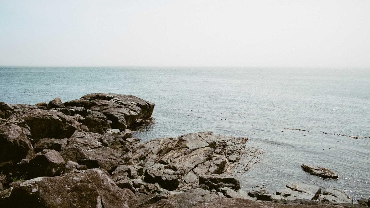 [BREAKING] Moody’s flags $662 billion risk at the heart of the data-center buildout by just 5 companies