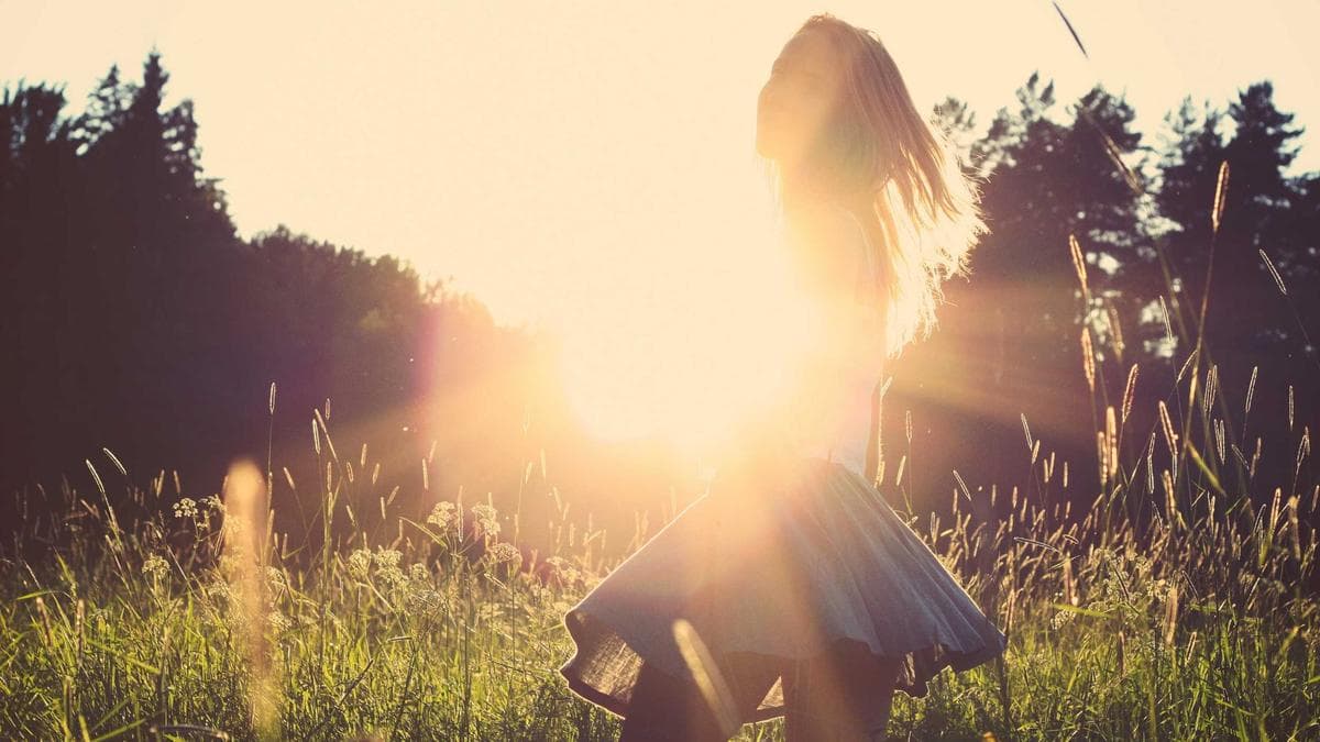 Korean Brokerage Triples on SpaceX Exposure as Retail Investors Hunt Musk Proxy