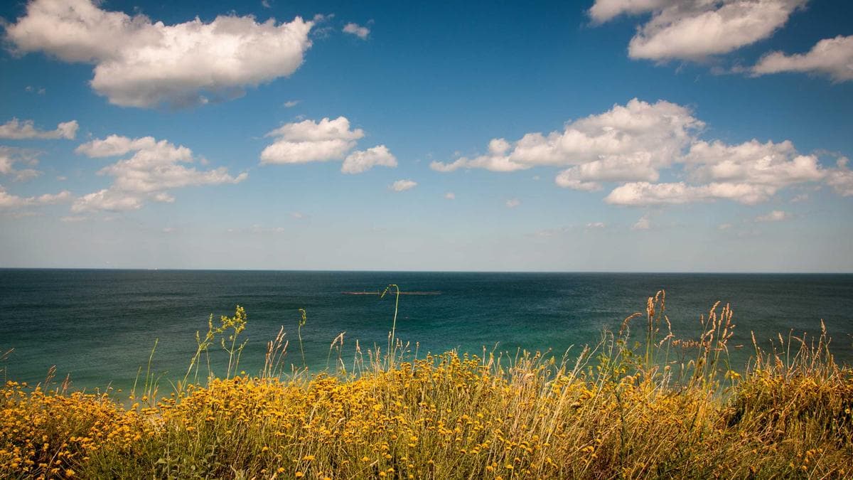 KPMG Partner Fined $7,000 for Using AI to Cheat on Firm’s AI Training Exam