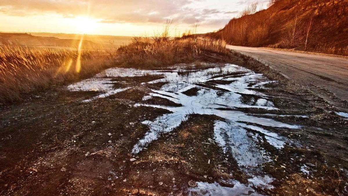 Markets Show Resilience as Risk Appetite Holds Despite Global Uncertainty