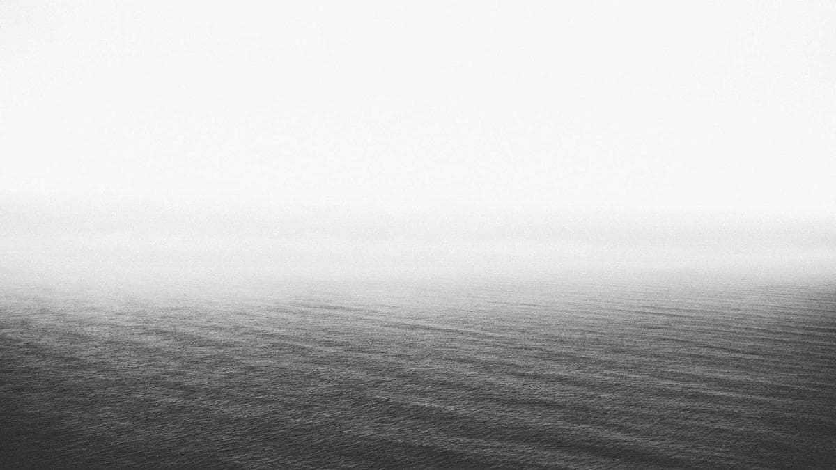 Campaign Strategy Research Reveals Unexpected Risk in Base-Mobilization Messaging