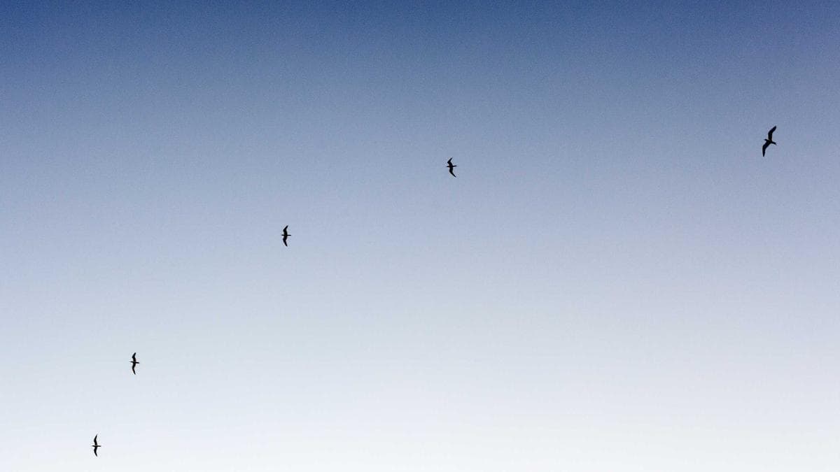 Passive Investing Critic Michael Green Warns of Market Structure Crisis in New Interview