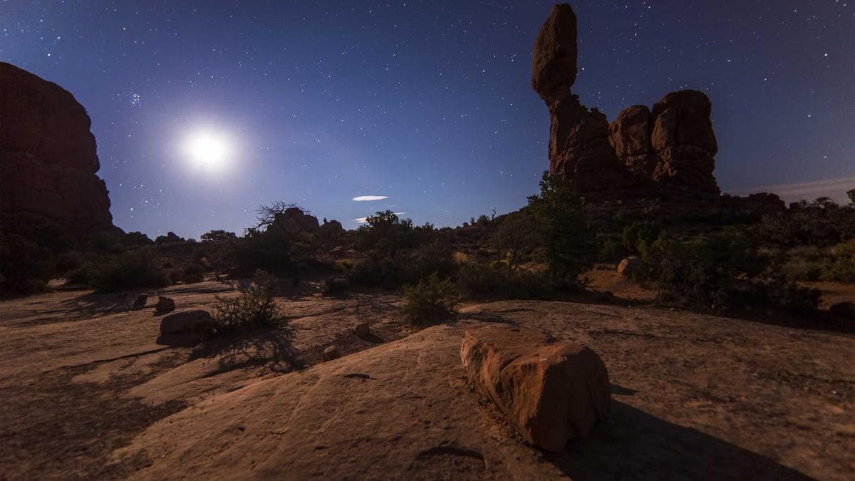 Cleo CEO Barney Hussey-Yeo wants to build a £100bn company — and save Western democracy