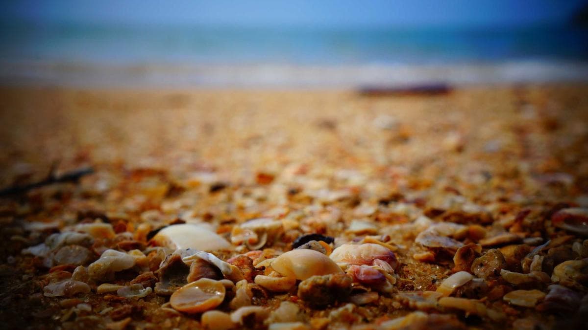 OpenAI Targets 100,000 Students in India Higher-Ed Push as Tech Giants Race for Talent Pipeline