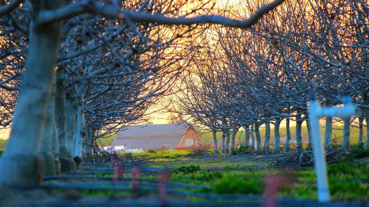 Apple Faces State Lawsuit Over iCloud Child Safety Practices as Tech Liability Questions Mount