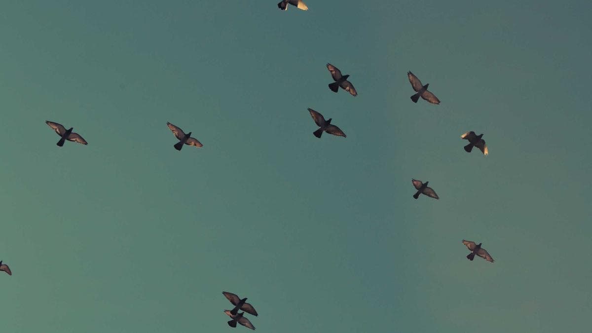 Activist Jana Partners Takes Stake in Fiserv, Pushes for Strategic Overhaul After 67% Stock Plunge