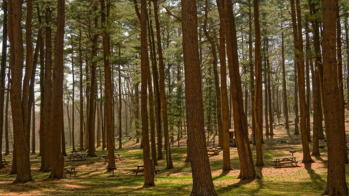 Guide Labs Open-Sources LLM That Traces Every Output Back to Training Data