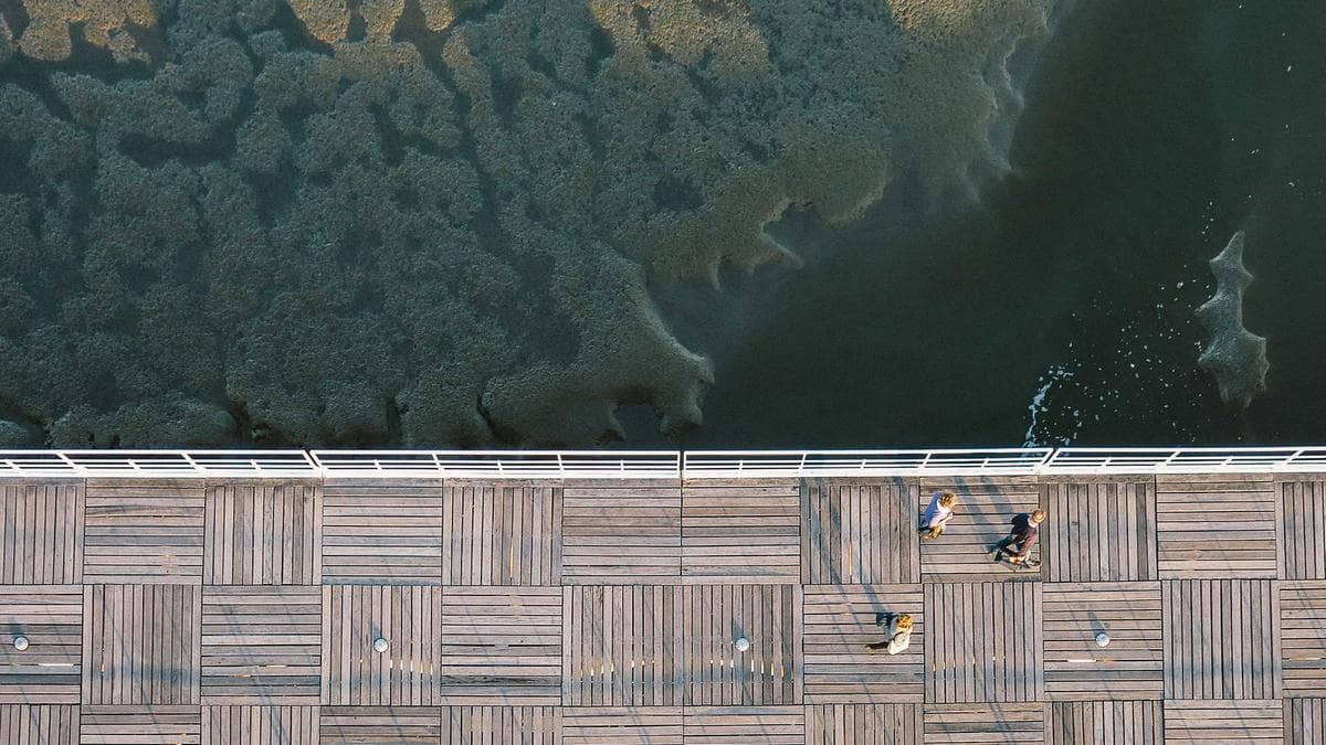 Finance Chiefs Struggle to Extract Value from Tech Investments as Implementation Gap Widens