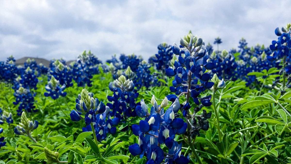 Experian Acquires Email Identity Firm AtData to Bolster Fraud Detection Arsenal