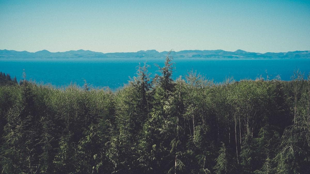 Japan’s Toto Becomes Unlikely AI Investment Target as Activist Pushes Tech Valuation Case