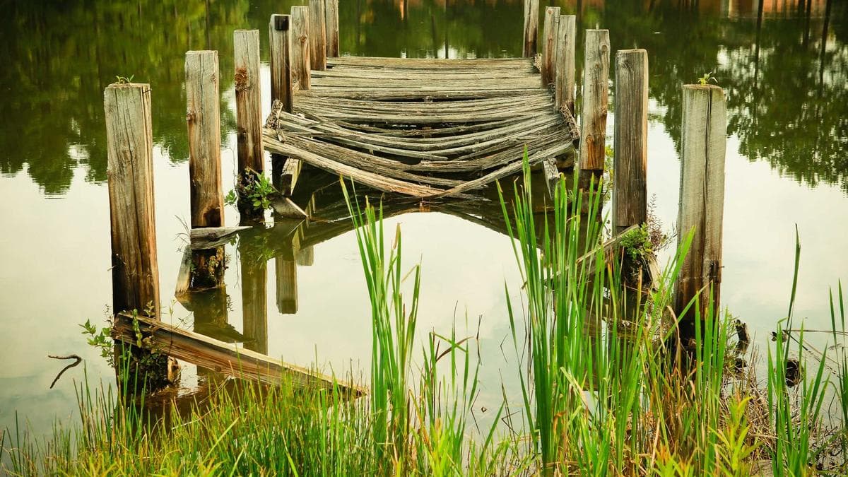 Forbes Names 20 Newcomers to 2026 Fintech 50 List, Emphasizing AI and Financial Inclusion