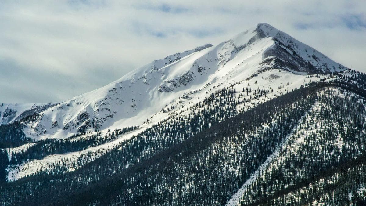 Forbes Fintech 50 sees 20 newcomers, highlighting AI and financial inclusion driven business models