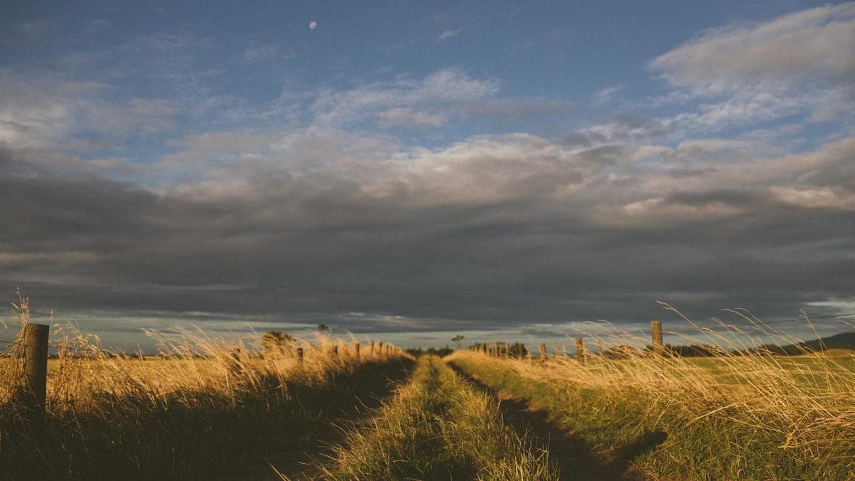 Bank Analysts Dissect Sector Trends as Industry Faces Margin Pressure and AI Disruption