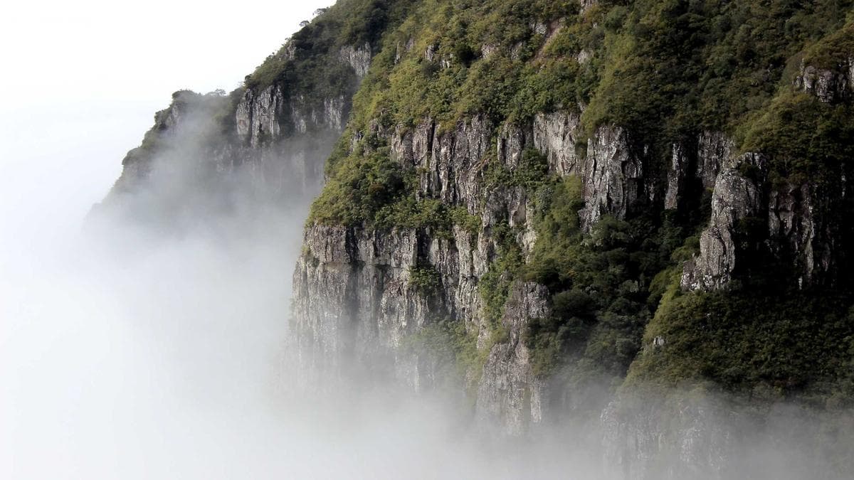 Google Cloud Revenue Surge Justifies Record CapEx Increase, Company Tells Investors