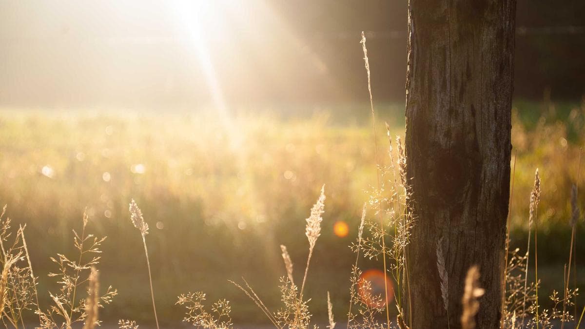 The C-Suite’s Eternal Tension: Why Strategy Works Best When CEOs Dream and CFOs Do the Math