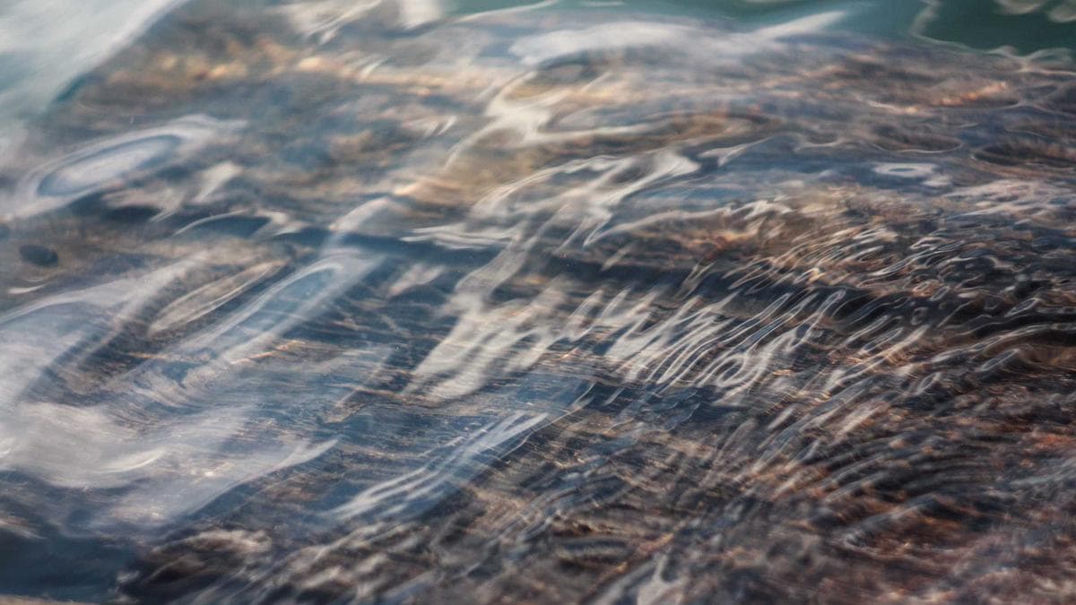 Oxford Professor Questions Private Equity Return Metrics as Asset Class Faces Scrutiny