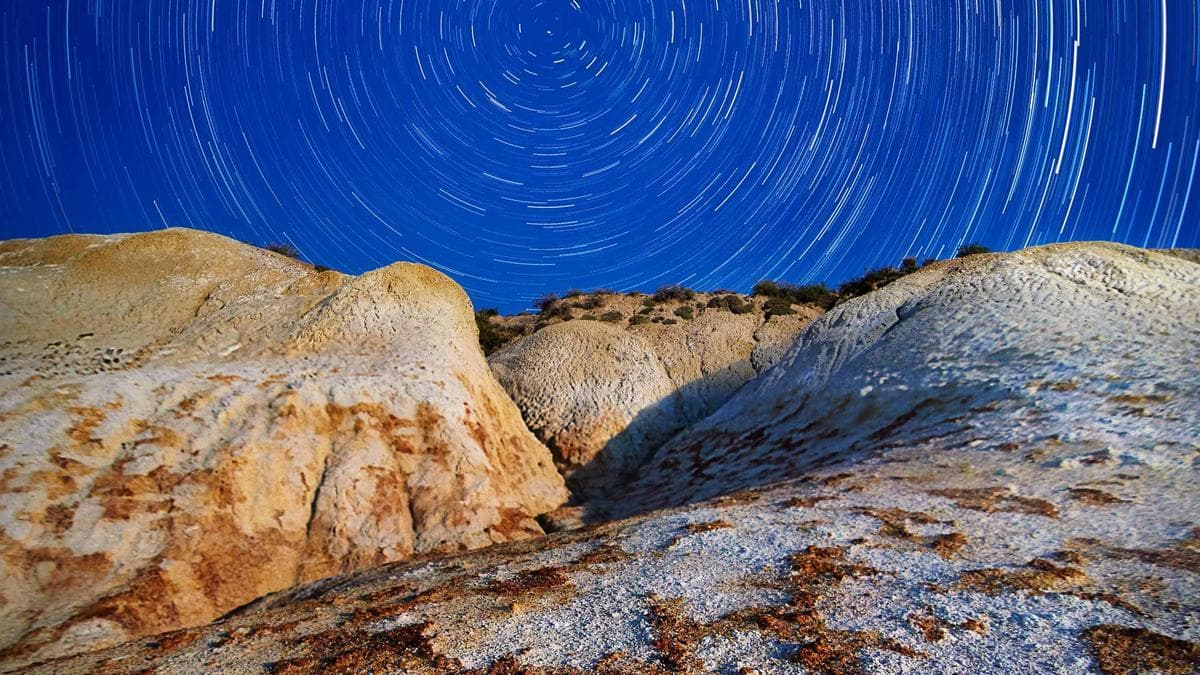 Franklin Templeton CEO Warns AI Could Disrupt Enterprise Software Giants