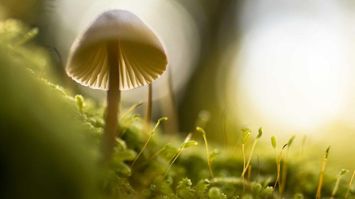 Stablecoin Payment Volume Hits $27 Trillion, But McKinsey Warns CFOs Not to Mistake Activity for Adoption