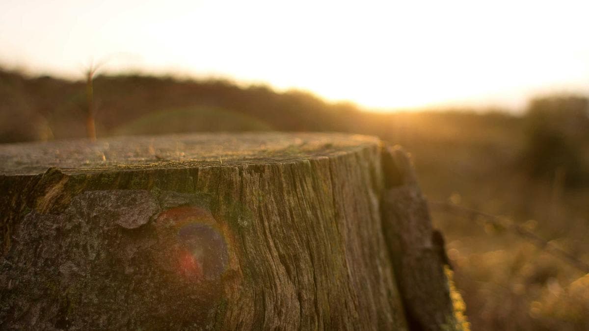 Information Asymmetry in Equity Markets Costs Economy $180 Billion Annually, Wharton Study Finds