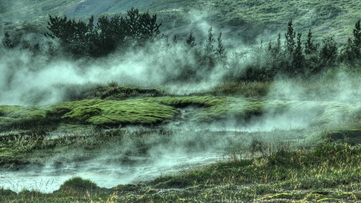 California Regulator Fines Crypto Lender Nexo for Unlicensed Operations, Affirm Pursues Bank Charter