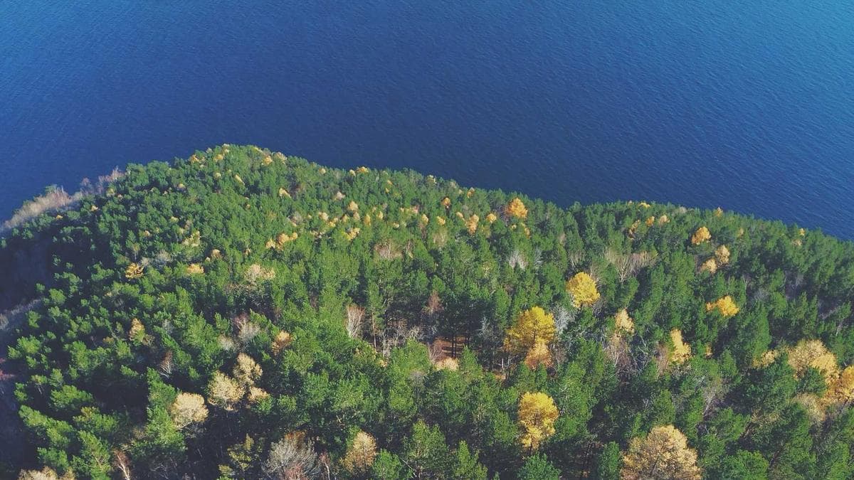 CFOs Urged to Embrace Complexity as Core Leadership Skill Amid Market Turbulence