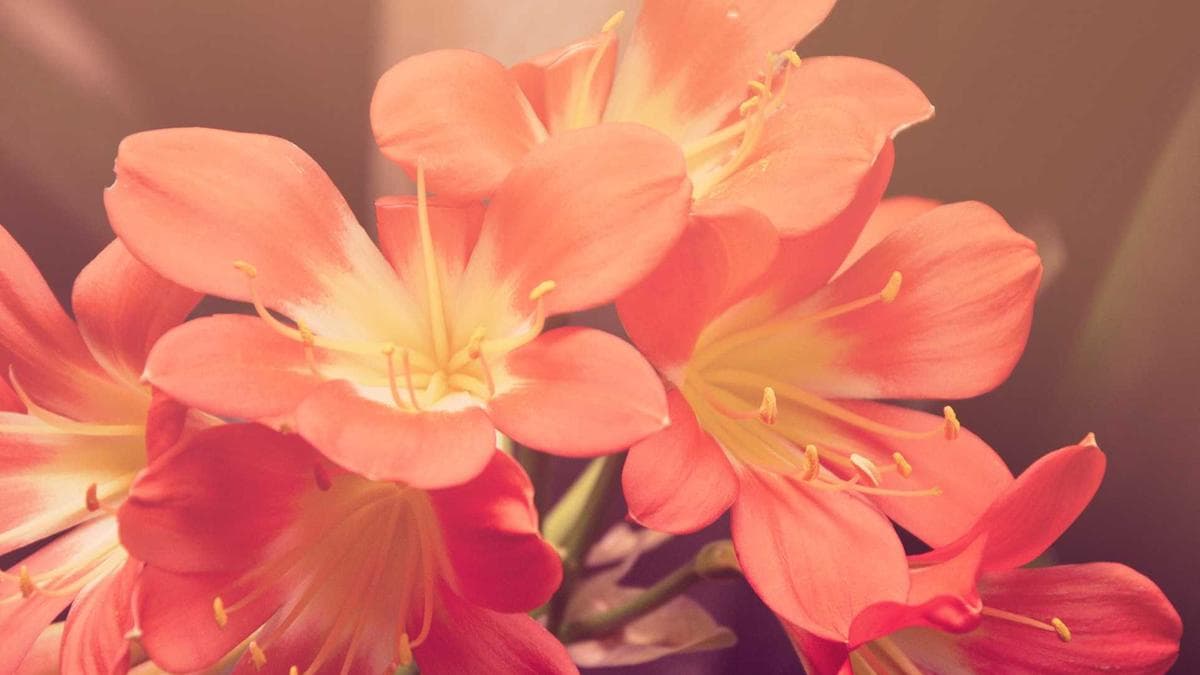 Fintech CEO Calls Credit Cards “Horrible Product” as U.S. Debt Hits $1.3 Trillion Record