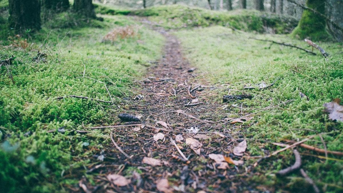 UK to require tech firms to remove abusive images within 48 hours