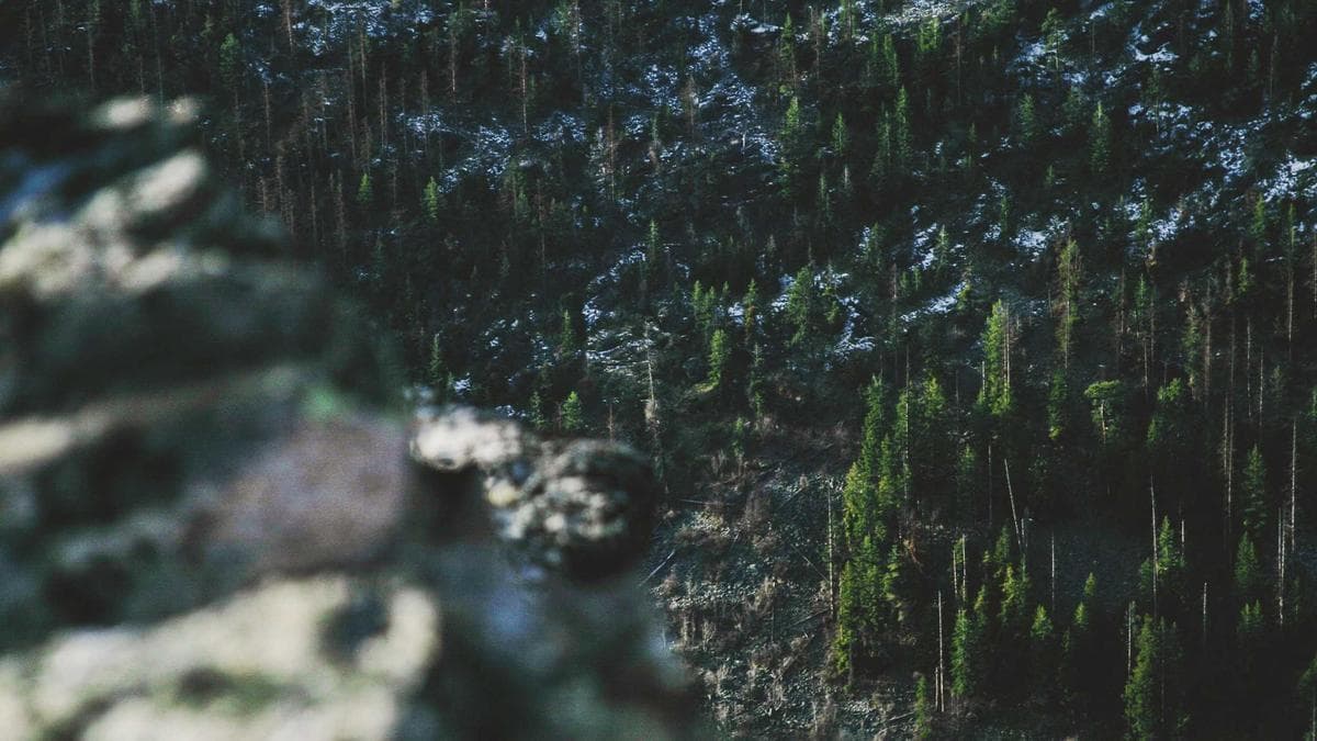 Bank of England to Open UK Payment Rails at 1:30 AM in Push for 24/7 Settlement