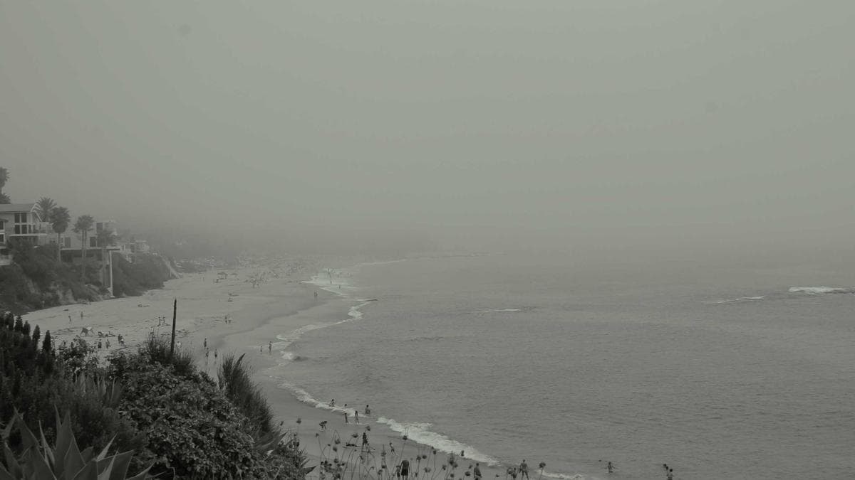 Astellas CFO Pushes Finance Beyond Numbers as Pharma Faces AI Disruption