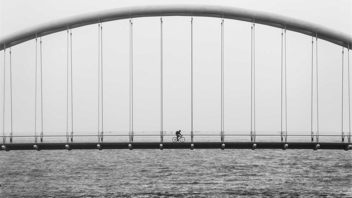 Fractional CFO Market Draws Finance Veterans as Companies Seek Flexible Leadership