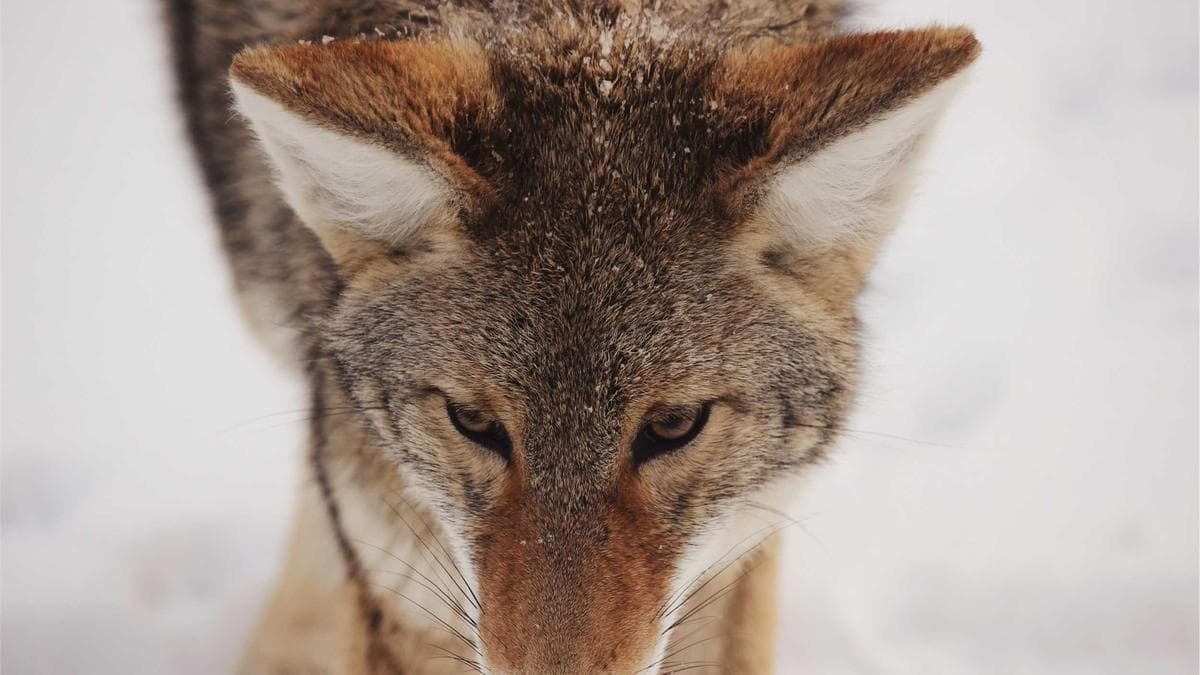 European Spacetech Startups Face 8-10 Year R&D Cycles as Funding Accelerates