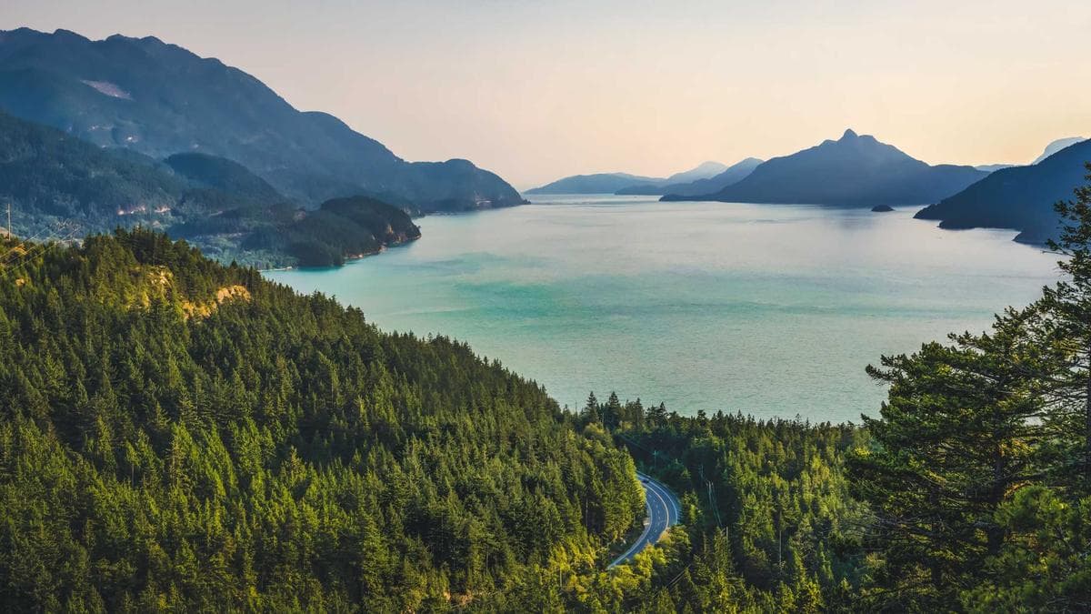 California Regulator Fines Crypto Lender Nexo Over Unlicensed Lending, Underwriting Lapses