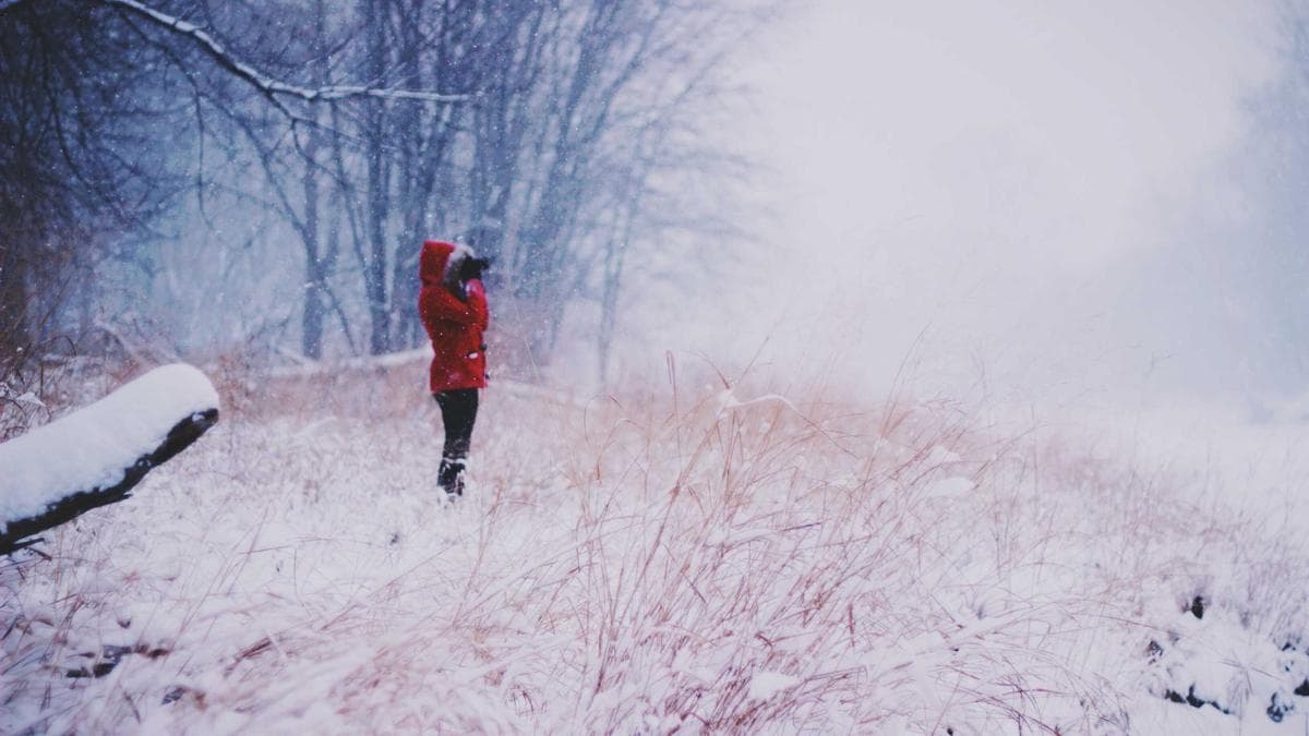 Anthropic’s $200 Million Pentagon Deal Hits Weapons-Use Impasse as CEO Seeks Direct Hegseth Meeting